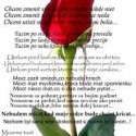 Obrázok
