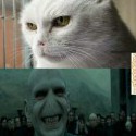 :D :D :D 