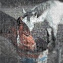 Konik cislo 2