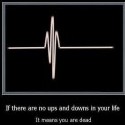 true true