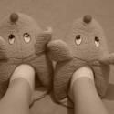 papucee:D