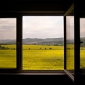 window and field