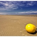 Nouveau Sur la Plage...