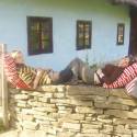 Obrázok