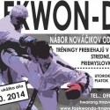 Náborová ukážka Taekwon-Do I.T.F. Hwa-rang Trnava
10.10.2014 o 19:00