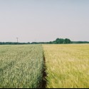 Obrázok