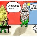 Obrázok