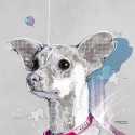 http://www.loviu.com/blogs/view/33