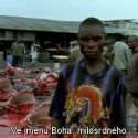 Workingman's Death ( Glawogger, 2005)