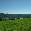 :)  pohlad  z Banosa na Urpin..Banska Bystrica
