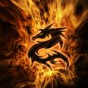 Dragon !!!