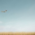 free jump:)