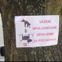 Obrázok