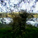 Strom :P