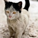 lebo taku raz budem mat!!! ^___^