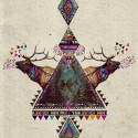 #mydeardeer