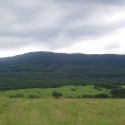 Obrázok