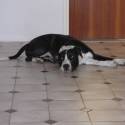 moj Maxo :D pekny nie??