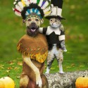 HALOWEEN