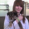 Moje vysnivane povolanie:)a pracuje sa na tom aby bolo aj realne:)inak fotka z praxe na veterinarnej klinike...