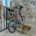 taki bike som vždi cel mat jeden ujo z SB taki ma :D