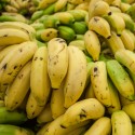 Ukážka z obrázkov v albume banan