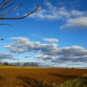 Ukážka z obrázkov v albume A cloud does not know why it moves in just such a direction and at such a speed...It feels an impulsion-this is the place to go now. But the sky knows the reasons and the patterns behind all clouds