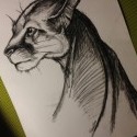 Historicky prvýkrát za celé tie roky kreslenia  som sa pokúsila nakresliť nejaké zviera :D môj prvý pokus :3 číča :* 