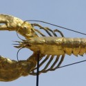 Ukážka z obrázkov v albume Na žúrke U zlatého homára