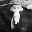 O_O