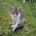 Murka moja :-* :) 