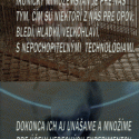  zvierať zvieratká