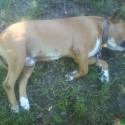 Nase male telatko :-)