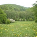 Obrázok