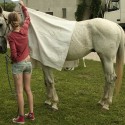 natural horsemanship - práca zo zeme