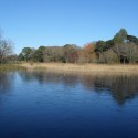 Killarney National Park