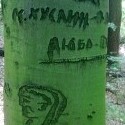 Obrázok