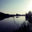 Obrázok