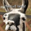 Nebuď lama!