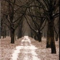 go straight, you wont get lost