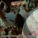 Workingman's Death (2005)
