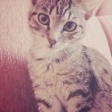 Zlatičko maličké :3 :* 