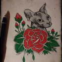 The Naming of Cats is a difficult matter,It isn't just one of your holiday games;You may think at first I'm as mad as a hatter. When I tell you, a cat must have THREE DIFFERENT NAMES. First of all...........