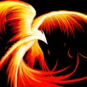 Ukážka z obrázkov v albume Phoenix