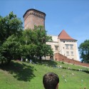 ;)Wawel