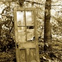 into the woods