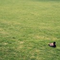 Ente