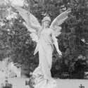 Ukážka z obrázkov v albume anjelikovia