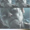 Obrázok