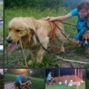 Dnes na dlheeeej prechádzke, celí zablatení a špinaví, ale šťastní, že sme vonku. Zdravia vás Lola a Luky, ktorí stále hľadajú svoj nový domov! :)